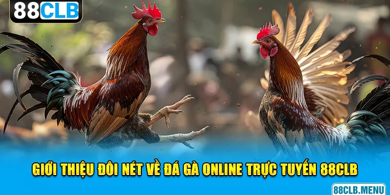 Đá gà online trực tuyến mang lại vô vàn điều thú vị