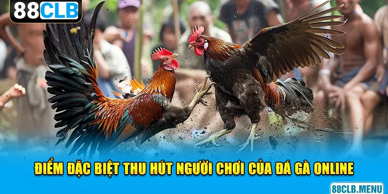 4 điểm đặc biệt thu hút người chơi của đá gà online