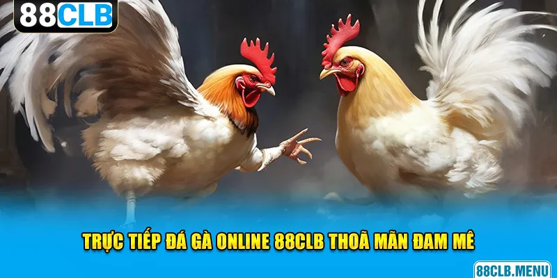 Trực tiếp đá gà online 88CLB thoã mãn đam mê