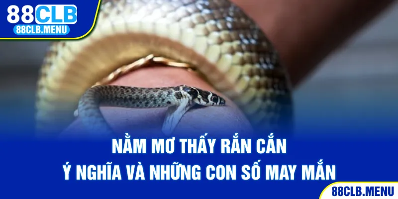 Nằm mơ thấy rắn cắn