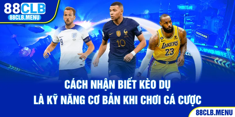 Cách nhận biết kèo dụ là kỹ năng cơ bản khi chơi cá cược