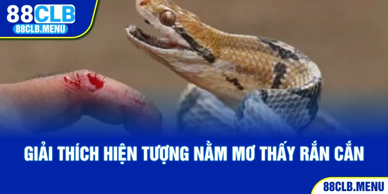 Giải thích hiện tượng nằm mơ thấy rắn cắn