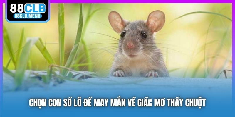 Chọn con số lô đề may mắn về giấc mơ thấy chuột