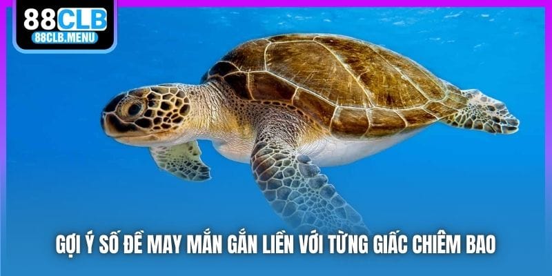 Gợi ý số đề may mắn gắn liền với từng giấc chiêm bao