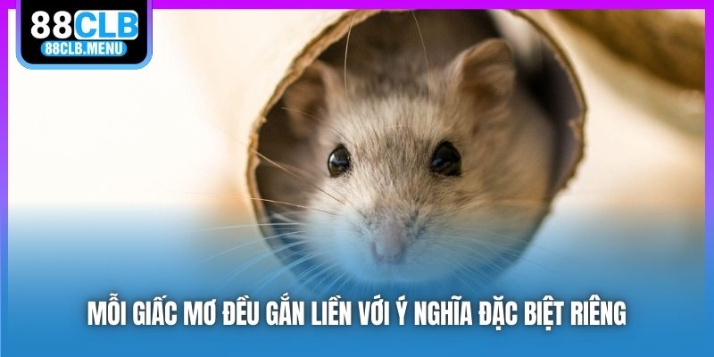 Mỗi giấc mơ đều gắn liền với ý nghĩa đặc biệt riêng
