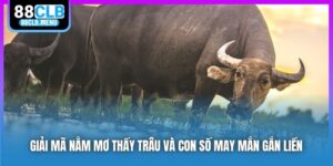 Giải Mã Nằm Mơ Thấy Trâu Và Con Số May Mắn Gắn Liền