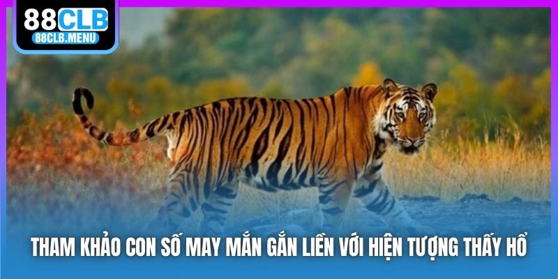 Tham khảo con số may mắn gắn liền với việc nằm mơ thấy hổ