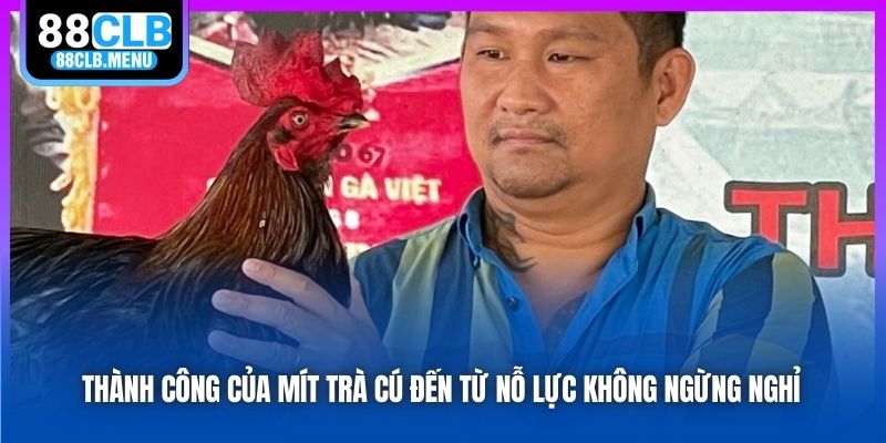 Thành công của Mít Trà Cú đến từ nỗ lực không ngừng nghỉ