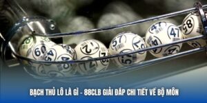Bạch Thủ Lô Là Gì - 88CLB Giải Đáp Chi Tiết Về Bộ Môn