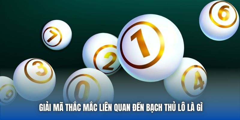 Giải mã thắc mắc liên quan đến bạch thủ lô là gì