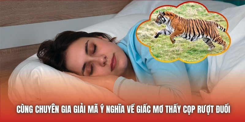 Cùng chuyên gia giải mã ý nghĩa về giấc mơ thấy cọp rượt đuổi