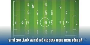 Vị Trí CDM Là Gì? Vai Trò Mỏ Neo Quan Trọng Trong Bóng Đá